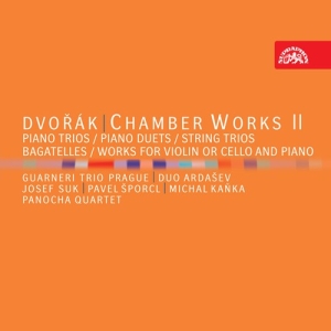 Dvorák Antonín - Chamber Works Ii (7 Cd) i gruppen CD / Klassisk hos Bengans Skivbutik AB (5503078)