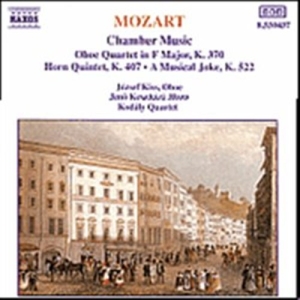 Mozart Wolfgang Amadeus - Chamber Music i gruppen VI TIPSER / Julegavetips CD hos Bengans Skivbutik AB (5503215)