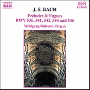 Bach Johann Sebastian - Preludes & Fugues i gruppen CD / Klassisk hos Bengans Skivbutik AB (5503219)