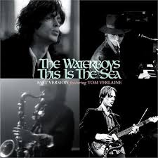 Waterboys - This Is The Sea -Black Fr- i gruppen CRM - Irish Pop-Rock hos Bengans Skivbutik AB (5506376)