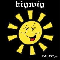 Bigwig - Stay Asleep i gruppen VINYL / Metal hos Bengans Skivbutik AB (5507453)