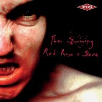 Pig Keith Leblanc Kmfdm - The Swining / Red Raw & Sore i gruppen CD hos Bengans Skivbutik AB (5507526)