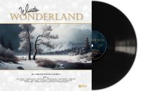 Various Artists - Winter Wonderland (Vinyl Lp) i gruppen VINYL / JuleMusikkk hos Bengans Skivbutik AB (5507656)