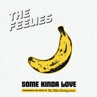 The Feelies - Some Kinda Love: Performing The Mus i gruppen VI TIPSER / Julegavetips Vinyl hos Bengans Skivbutik AB (5507822)