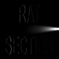 Rat Section - What Stays In Vegas i gruppen CD hos Bengans Skivbutik AB (5508563)