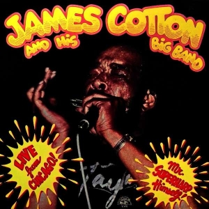 James Cotton & His Big Band - Live In Chicago - Mr. Superharp i gruppen Labels /  hos Bengans Skivbutik AB (5508820)