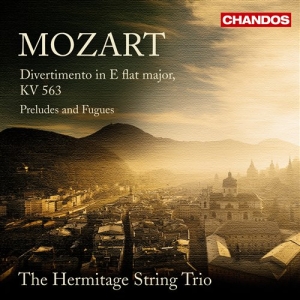 Mozart - Divertimento i gruppen VI TIPSER / Julegavetips CD hos Bengans Skivbutik AB (5509847)