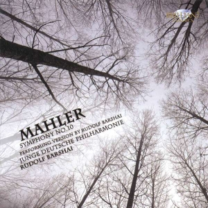 Mahler - Mahler: Symphony No. 10 i gruppen CD / Klassisk hos Bengans Skivbutik AB (5509883)