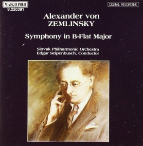 Zemlinsky Alexander Von - Symphony i gruppen VI TIPSER / Julegavetips CD hos Bengans Skivbutik AB (5510081)