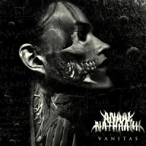 Anaal Nathrakh - Vanitas i gruppen VINYL / Metal hos Bengans Skivbutik AB (5510639)