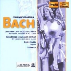 Bach - Kantaten i gruppen VI TIPSER / Julegavetips CD hos Bengans Skivbutik AB (5511449)