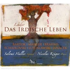 Salome Haller - Earthly Life - Lieder i gruppen VI TIPSER / Julegavetips CD hos Bengans Skivbutik AB (5511473)