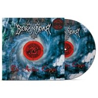 Borknagar - Archaic Course The (Picture Disc Vi i gruppen VINYL / Metal hos Bengans Skivbutik AB (5512133)