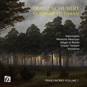 Schubert Franz - Piano Works, Vol. 7 i gruppen CD hos Bengans Skivbutik AB (5512707)