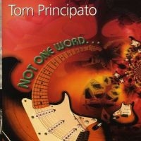 Principato Tom - Not One Word i gruppen CD / Blues hos Bengans Skivbutik AB (5513524)