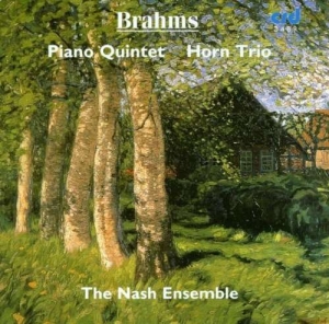 Brahms Johannes - Piano Quintet In F Minor Op.34 / Ho i gruppen Musikk / CD-R / Klassisk hos Bengans Skivbutik AB (5514254)