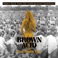 Various Artists - Brown Acid - The Tenth Trip i gruppen VINYL hos Bengans Skivbutik AB (5514698)