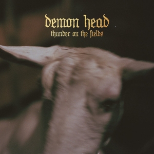 Demon Head - Thunder On The Fields Lp Gold i gruppen VINYL / Pop-Rock hos Bengans Skivbutik AB (5515229)