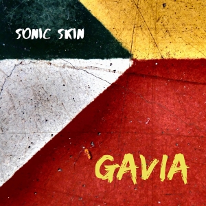 Sonic Skin - Gavia i gruppen CD / Nyheter hos Bengans Skivbutik AB (5515311)