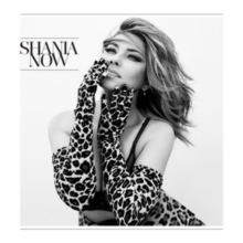 Shania Twain - Now i gruppen 10399 hos Bengans Skivbutik AB (5515388)