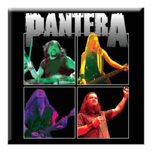 Pantera  - Fridge Magnet: Band Photo i gruppen MERCHANDISE / Merch / Metal hos Bengans Skivbutik AB (5516013)