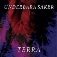 Terra - Underbara Saker (Red Vinyl) i gruppen VI TIPSER / Fredagsutgivelser / Fredag den 19e Jan 24 hos Bengans Skivbutik AB (5516025)