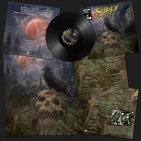 Sentry - Sentry (Vinyl Lp) i gruppen VI TIPSER / Fredagsutgivelser / Fredag Den 1:a Mars 2024 hos Bengans Skivbutik AB (5516387)