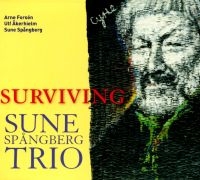 Brus Trio Feat Nordström & Äleklint - Celebration i gruppen CD / Jazz hos Bengans Skivbutik AB (5517481)