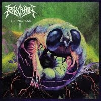 Revocation - Teratogenesis (Reissue) i gruppen VI TIPSER / Fredagsutgivelser / Fredag Den 9:e Februari 2024 hos Bengans Skivbutik AB (5518019)