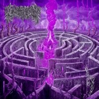 Civerous - Maze Envy (Purple/Magenta Vinyl Lp) i gruppen Kommende produkter - 10 procent hos Bengans Skivbutik AB (5518435)