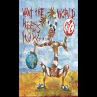 Public Image Limited - What The World Needs Now i gruppen Pop-Rock,Punk hos Bengans Skivbutik AB (5519789)