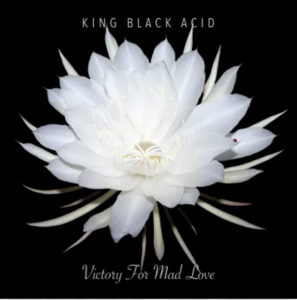 King Black Acid - Victory For Mad Love (Rsd) - IMPORT i gruppen VI TIPSER / Record Store Day / RSD24-Ams hos Bengans Skivbutik AB (5520067)