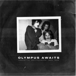 Malfunkshun - Olympus Awaits (Neon Purple Vinyl/2Lp) (Rsd) - IMPORT i gruppen VI TIPSER / Record Store Day / RSD24-Ams hos Bengans Skivbutik AB (5520073)