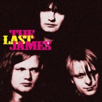 The Last James - The Last James i gruppen VINYL / Pop-Rock hos Bengans Skivbutik AB (5522052)