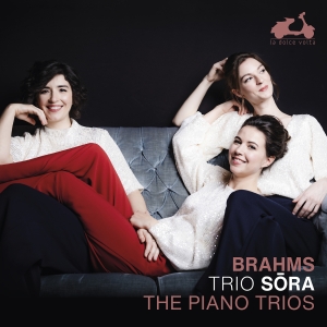 Johannes Brahms - The Piano Trios i gruppen CD hos Bengans Skivbutik AB (5522143)