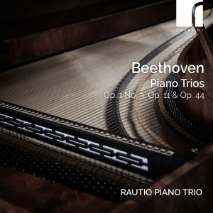 Ludwig Van Beethoven - Piano Trios, Op. 1 No. 3, Op. 11 & i gruppen CD / Nyheter hos Bengans Skivbutik AB (5522423)