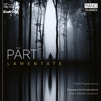 Arvo Pärt - Lamentate (Biovinyl) i gruppen VINYL / Klassisk hos Bengans Skivbutik AB (5522431)