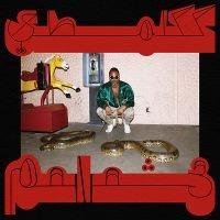 Shabazz Palaces - Robed In Rareness (Loser Edition Re i gruppen VINYL / Hip Hop-Rap hos Bengans Skivbutik AB (5522807)