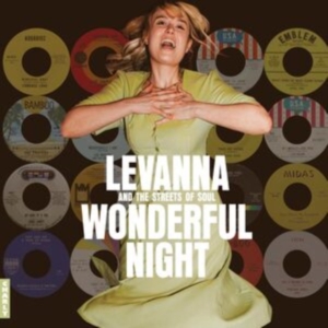 Various Artists - Wonderful Night Curated By Levanna i gruppen CD / Pop-Rock hos Bengans Skivbutik AB (5523369)