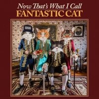 Fantastic Cat - Now That's What I Call Fantastic Ca i gruppen VI TIPSER / Fredagsutgivelser / Fredag den 7:e Juni 2024 hos Bengans Skivbutik AB (5524073)