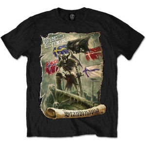 Avenged Sevenfold - Scandinavia Uni Bl i gruppen MERCH / T-Shirt / Rockoff_Nya April24 hos Bengans Skivbutik AB (5526495r)