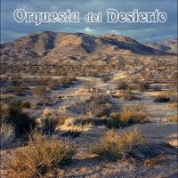 Orquesta Del Desierto - Orquesta Del Desierto i gruppen VI TIPSER / Fredagsutgivelser / Fredag den 14:e Juni 2024 hos Bengans Skivbutik AB (5535794)