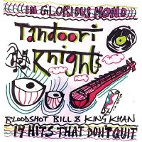 Tandoori Knights - 14 Hits That Don't Quit i gruppen VINYL / Pop-Rock hos Bengans Skivbutik AB (5538856)