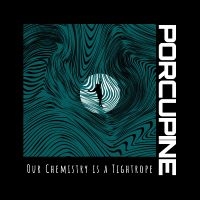 Porcupine - Our Chemistry Is A Tightrope i gruppen VINYL / Pop-Rock hos Bengans Skivbutik AB (5538946)