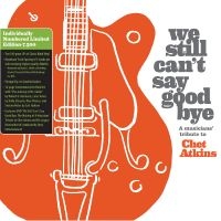 We Still Can't Say Goodbye: A Music - We Still Can't Say Goodbye: A Music i gruppen VINYL / Pop-Rock hos Bengans Skivbutik AB (5538978)