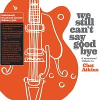 We Still Can't Say Goodbye: A Music - We Still Can't Say Goodbye: A Music i gruppen VINYL / Pop-Rock hos Bengans Skivbutik AB (5538979)