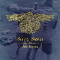 Seeing Snakes - Still Standing i gruppen VINYL / Pop-Rock hos Bengans Skivbutik AB (5539038)