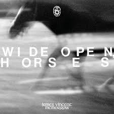 James Vincent Mcmorrow - Wide Open, Horses i gruppen VI TIPSER / Fredagsutgivelser / Fredag den 14:e Juni 2024 hos Bengans Skivbutik AB (5539231)