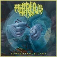 Februus - Surveillance Orgy (Digipack) i gruppen CD / Metal hos Bengans Skivbutik AB (5539502)