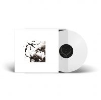 Tenhi - Airut: Aamujen (Clear Vinyl Lp) i gruppen VINYL / Pop-Rock hos Bengans Skivbutik AB (5539798)